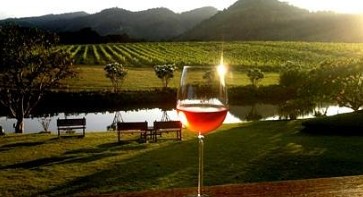 Cata de vino con degustación
